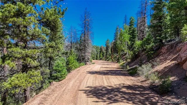 3454 Mountain Estates Road Florissant, CO 80816