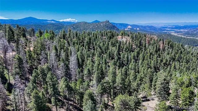 3454 Mountain Estates Road Florissant, CO 80816
