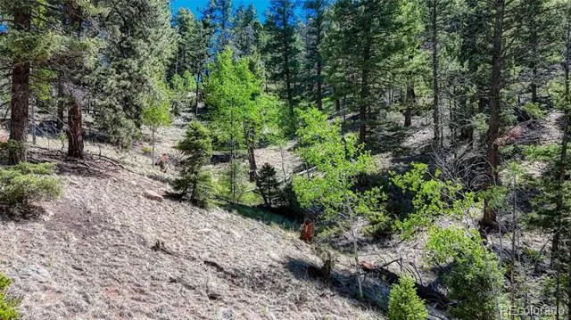 3454 Mountain Estates Road Florissant, CO 80816
