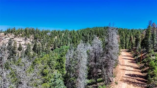 3454 Mountain Estates Road Florissant, CO 80816