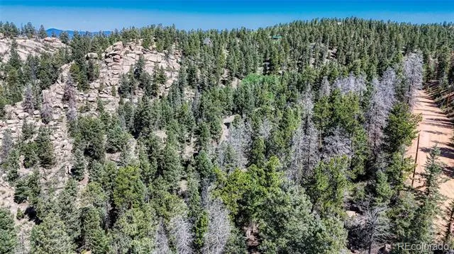 3454 Mountain Estates Road Florissant, CO 80816
