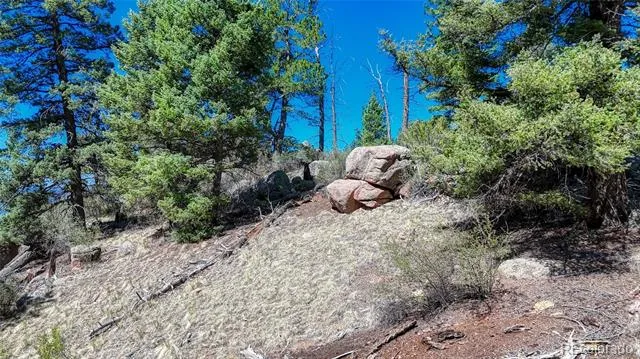 3454 Mountain Estates Road Florissant, CO 80816