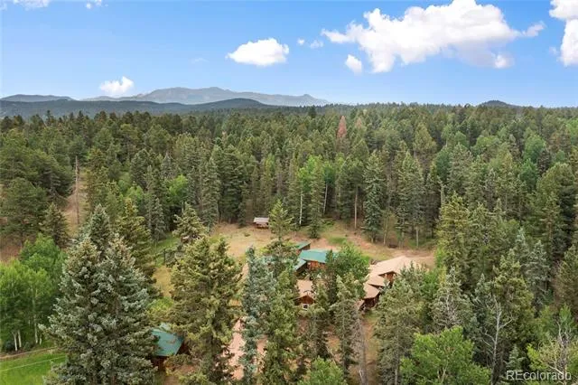 135 Daniwood Grove Florissant, CO 80816