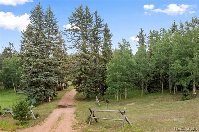 135 Daniwood Grove Florissant, CO 80816
