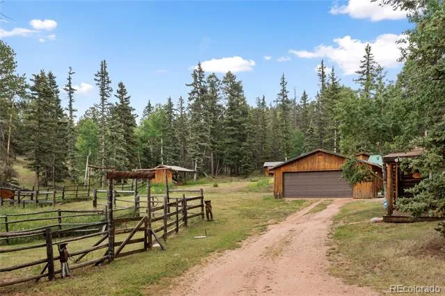 135 Daniwood Grove Florissant, CO 80816