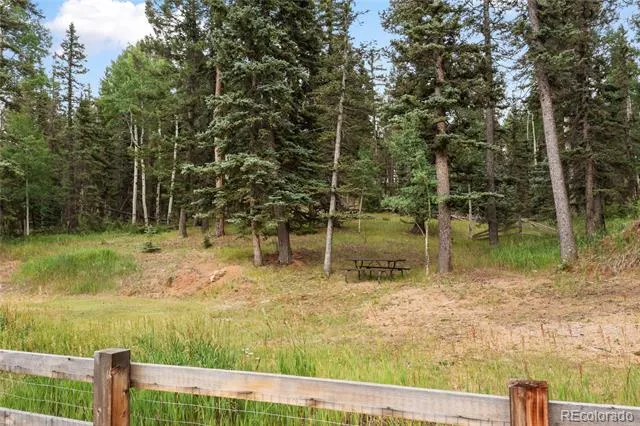 135 Daniwood Grove Florissant, CO 80816