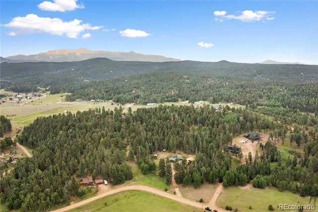 135 Daniwood Grove Florissant, CO 80816
