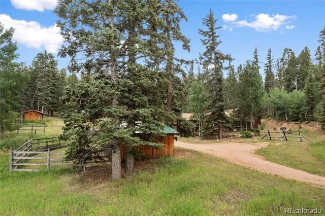 135 Daniwood Grove Florissant, CO 80816