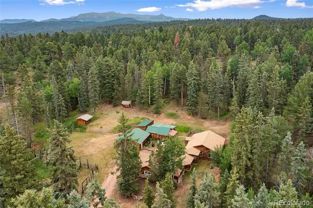 135 Daniwood Grove Florissant, CO 80816