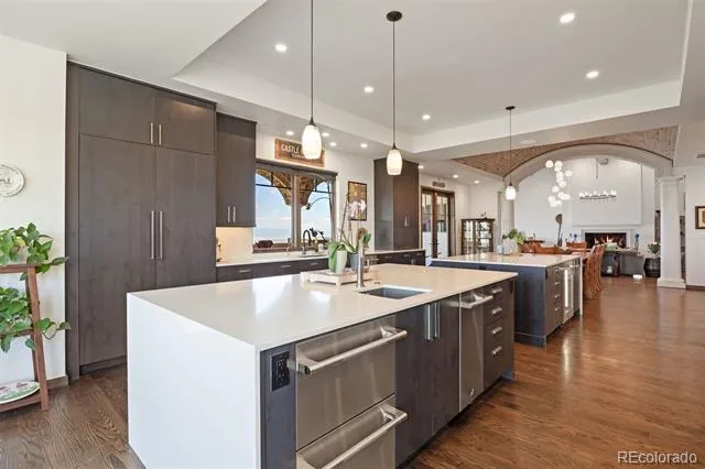 253 Stone Pointe Trail Castle Rock, CO 80109