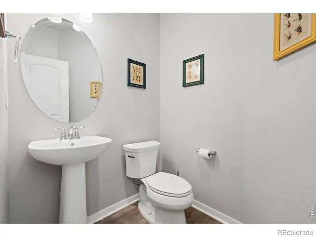 5287 Honeycomb Avenue Timnath, CO 80547