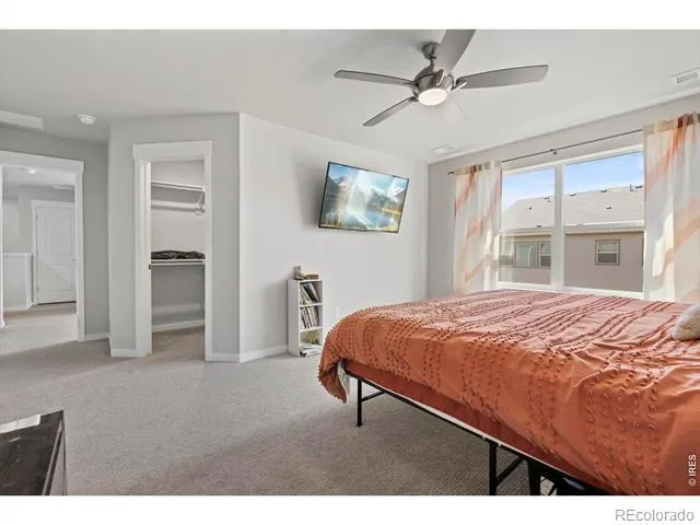 5287 Honeycomb Avenue Timnath, CO 80547