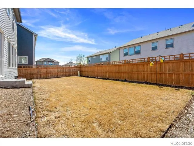 5287 Honeycomb Avenue Timnath, CO 80547