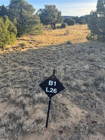 L23-26 B1 Black Diamond Drive Walsenburg, CO 81089