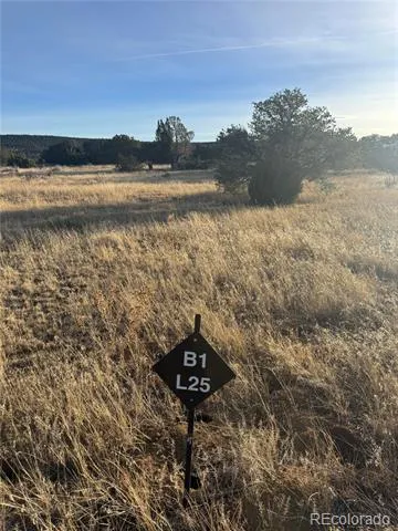 L23-26 B1 Black Diamond Drive Walsenburg, CO 81089