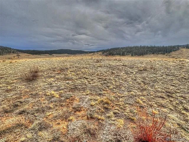 317 Lippzana Road Como, CO 80432