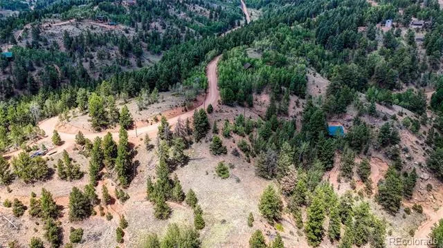 218 Princess Road Cripple Creek, CO 80813