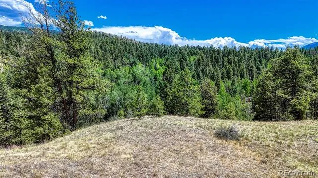 218 Princess Road Cripple Creek, CO 80813