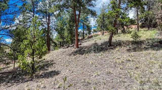 218 Princess Road Cripple Creek, CO 80813