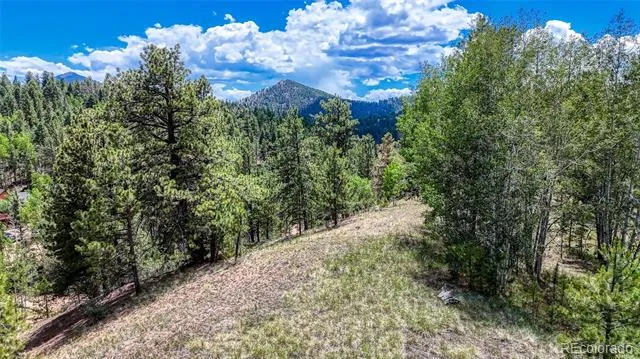 218 Princess Road Cripple Creek, CO 80813