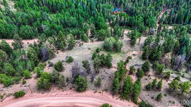 218 Princess Road Cripple Creek, CO 80813