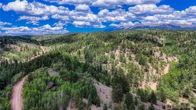 218 Princess Road Cripple Creek, CO 80813
