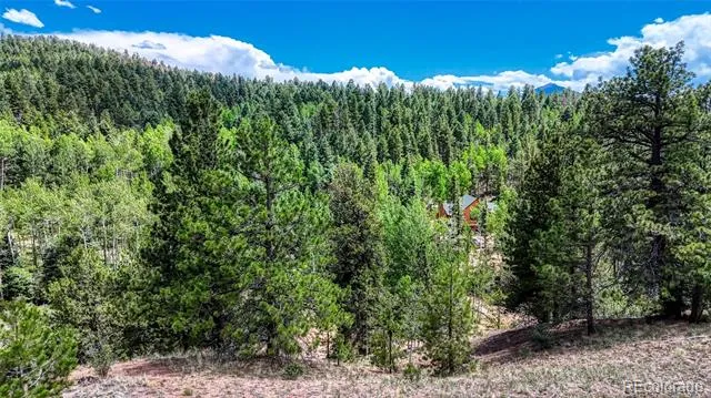 218 Princess Road Cripple Creek, CO 80813