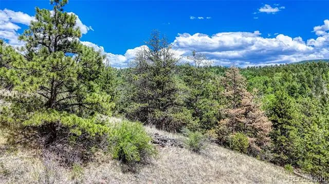 218 Princess Road Cripple Creek, CO 80813
