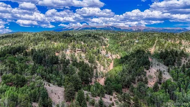 218 Princess Road Cripple Creek, CO 80813