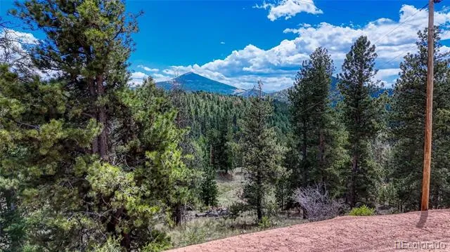218 Princess Road Cripple Creek, CO 80813