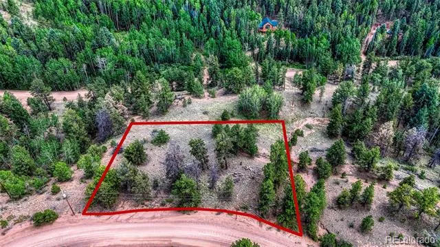 218 Princess Road Cripple Creek, CO 80813