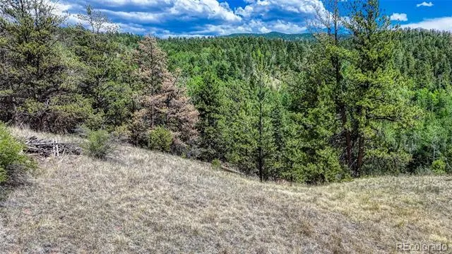 218 Princess Road Cripple Creek, CO 80813