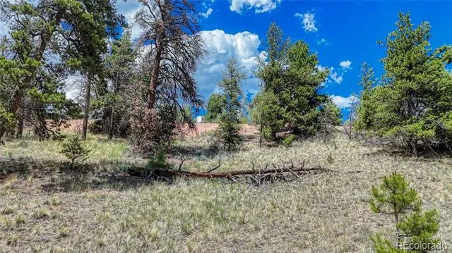 218 Princess Road Cripple Creek, CO 80813