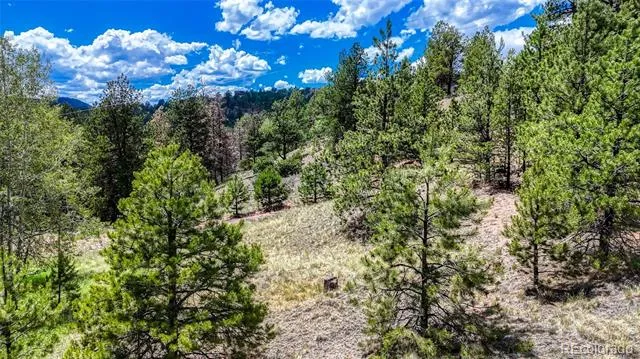 218 Princess Road Cripple Creek, CO 80813