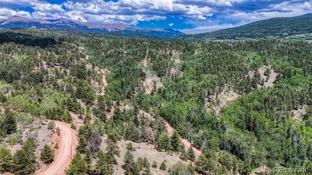 218 Princess Road Cripple Creek, CO 80813