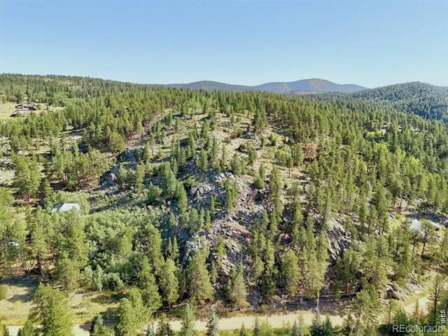 0 Cold Springs Road Nederland, CO 80466