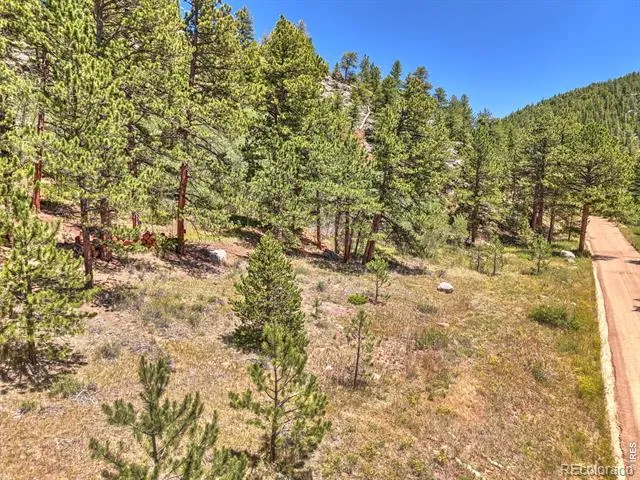 0 Cold Springs Road Nederland, CO 80466