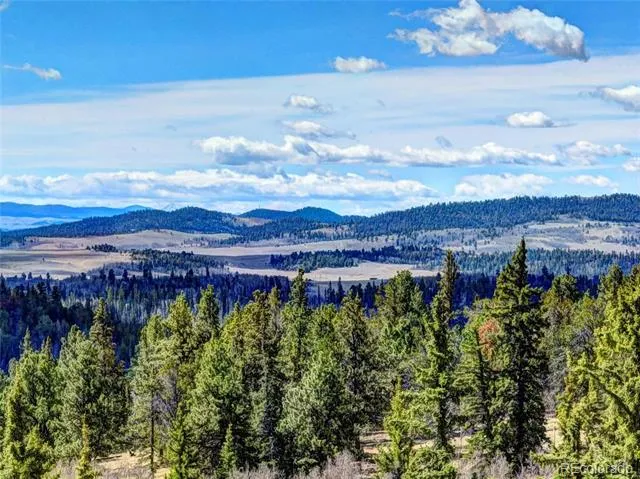 1479 Ouray Trail Como, CO 80432