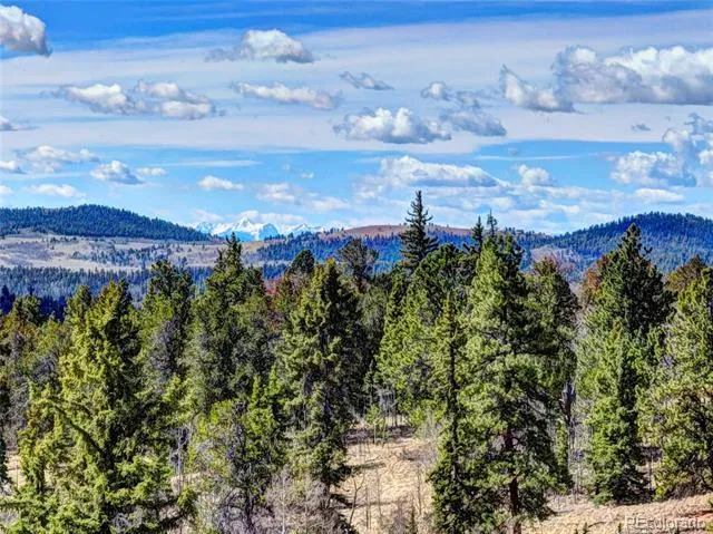 1479 Ouray Trail Como, CO 80432