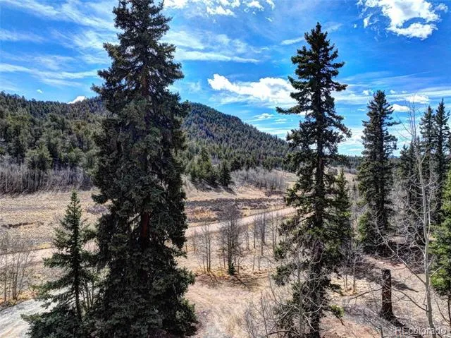 1479 Ouray Trail Como, CO 80432