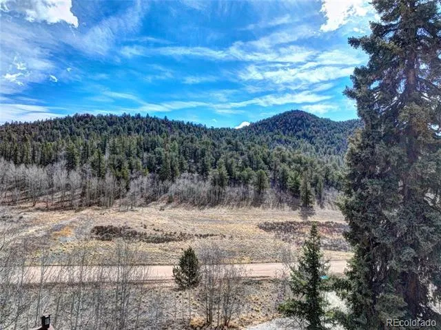 1479 Ouray Trail Como, CO 80432