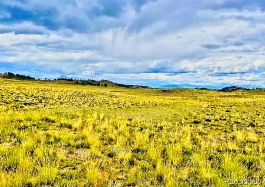 123 Chickamauga Trail Hartsel, CO 80449