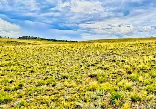 123 Chickamauga Trail Hartsel, CO 80449