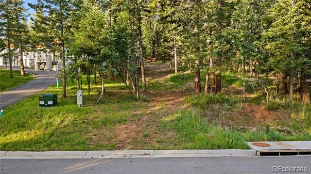 8125 Bannock Drive Larkspur, CO 80118