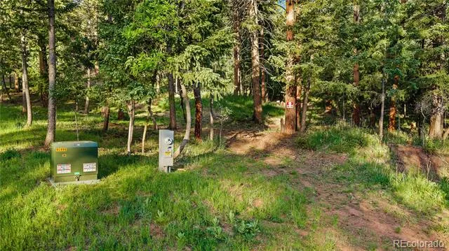 8125 Bannock Drive Larkspur, CO 80118