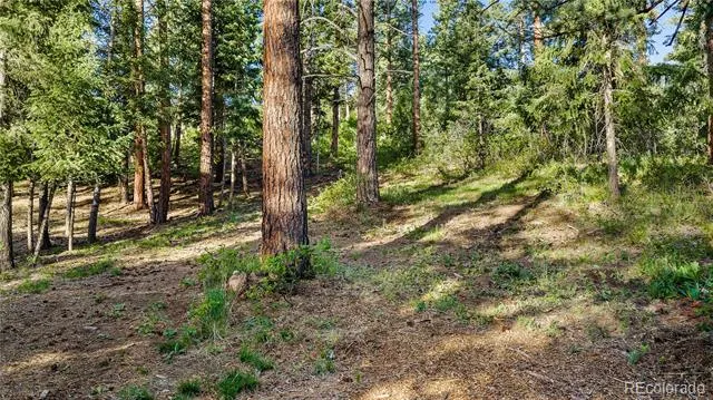 8125 Bannock Drive Larkspur, CO 80118