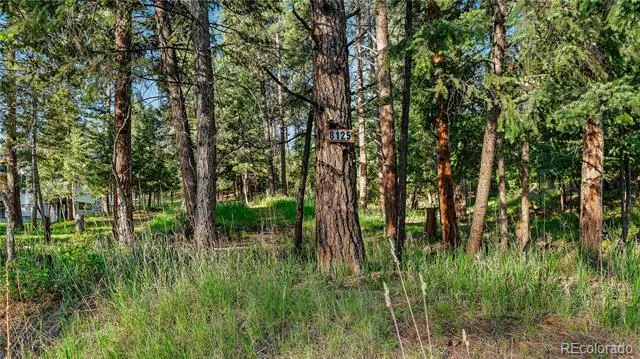 8125 Bannock Drive Larkspur, CO 80118