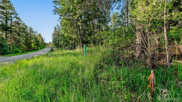 8125 Bannock Drive Larkspur, CO 80118