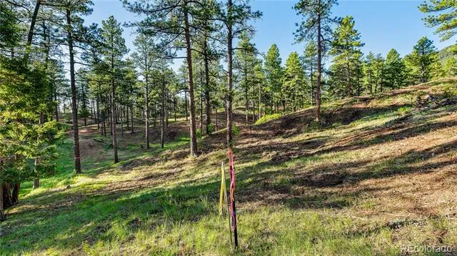 8125 Bannock Drive Larkspur, CO 80118