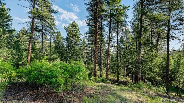 8125 Bannock Drive Larkspur, CO 80118